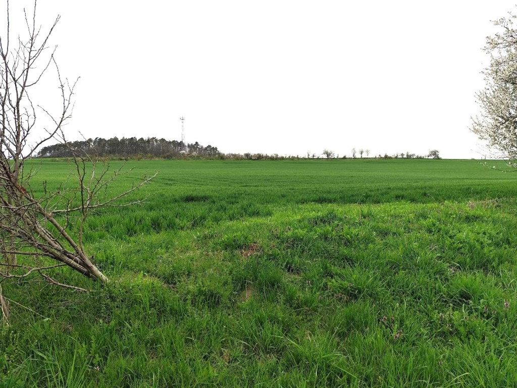 Pozemek, 990 m2, Trpoměchy – Slaný, okr. Kladno