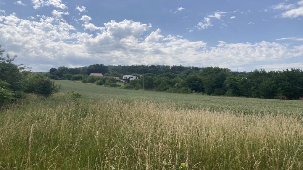 Property view 1