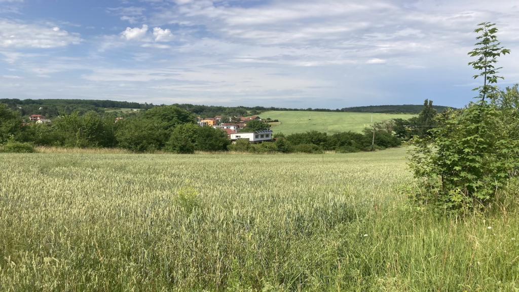 Property view 1