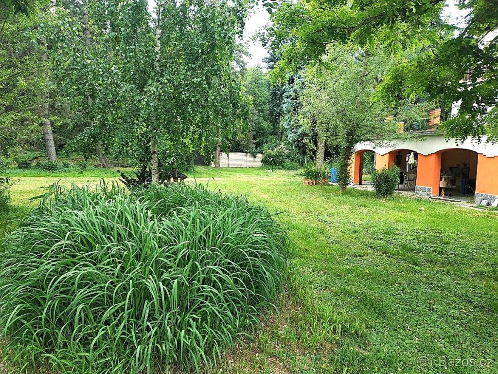 Property view 1